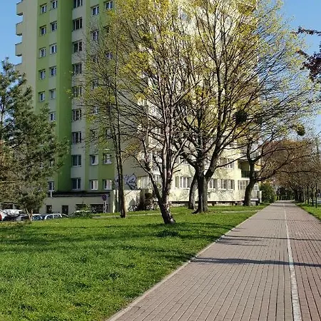 Apartman Gliniana 23